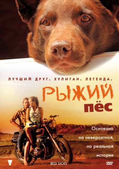 Рыжий пес (2007)