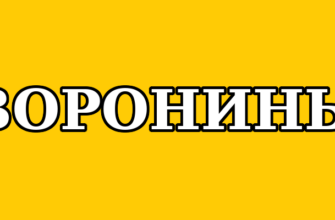 26 фактов о сериале «Воронины»